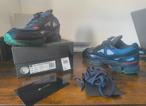 Raf simons ozweego - raf,